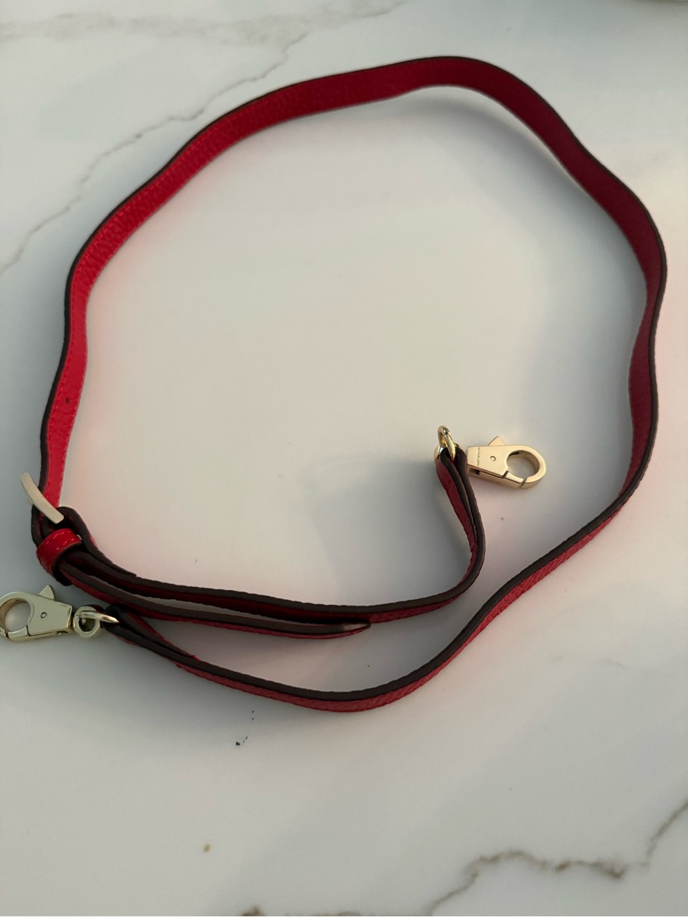 Women's Red Leather Bag Strap with Gold Hardware